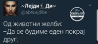 FB_IMG_1501744652721.jpg