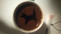 WP_20170803_001.jpg