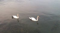 20170805_200007.jpg