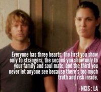 7f55686fc016e6aafa11c6345535c7e1--ncis-la-daniela-ruah.jpg