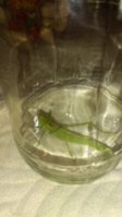 20170809_214959.jpg