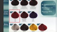 katalog.jpg
