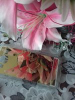 20170817_114121.jpg