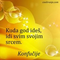 651a8ce5d257bfc2d2d303d3b3137918--su-philosophy.jpg