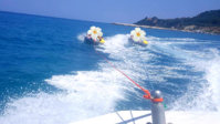 img1503048320792.jpg