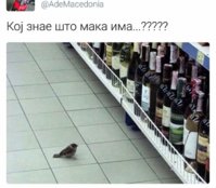 FB_IMG_1501346664762.jpg