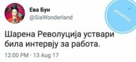 FB_IMG_1503467529531.jpg