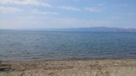 20170823_094814.jpg