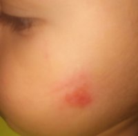 IMG_20170825_152510.jpg