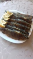 20170827_135323.jpg