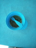 IMG_20170827_170300.jpg