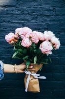 a8282621d4fe30717de5fab28975b7a3--pink-peonies-pink-flowers.jpg