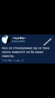 IMG_2441.PNG