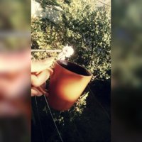 SquarePic_20179417213175.jpg