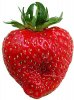 strawberry-glass-2.jpg