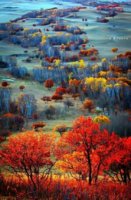 chinese-forest-fall-landscape.jpg