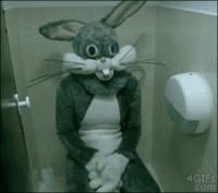 IMG_9368.GIF