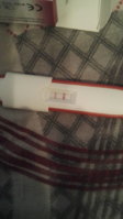 IMG-20170927-WA0006.jpeg