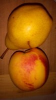 IMG_20170927_102726.jpg