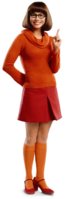 f4a8218b28d86f4afb41de08e951b417--daphne-costume-velma-costume.jpg