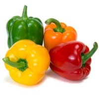 Can-I-Give-My-Dog-Bell-Peppers-300x300.jpg
