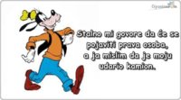 prava-osoba-za-mene.jpg