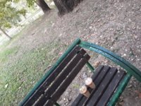 20171004_181454.jpg