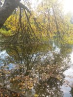 20171005_142330.jpg