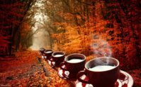 1720888-bigthumbnail.jpg