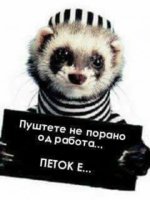 5A50307D-945E-44D8-A271-E720725C901D.jpeg