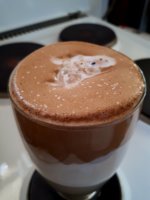 20171008_114908.jpg