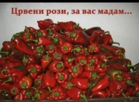 20171008_133749.png