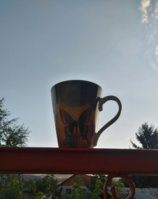 IMG_20171012_083930.JPG