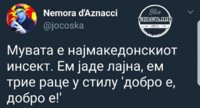 FB_IMG_1507994532711.jpg