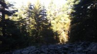 20171015_133821.jpg