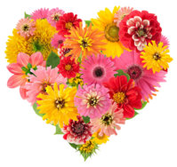 summers-flowers-heart-aleksandr-volkov.jpg