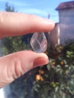 IMG_20171019_095713.jpg