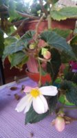 20171019_173331.jpg