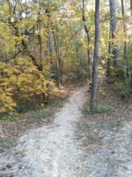 IMG_20171021_160335.jpg