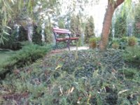 IMG_20171022_092242.jpg