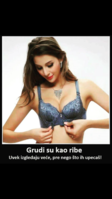 IMG_0266.PNG