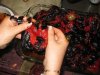 roasted-red-peppers-and-ajvar-7.jpg
