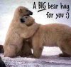 1285005638-bear_hug.jpg