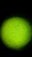 20170322_000251.jpg