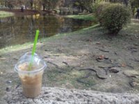 20171029_132201.jpg