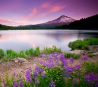 Wonterful_Landscape-wallpaper-9055502.jpg