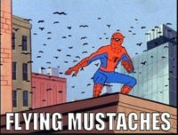 flying-moustaches1.jpg