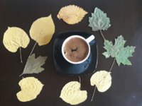PicsArt_11-13-11.55.31.jpg