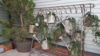 20171112_154931.jpg