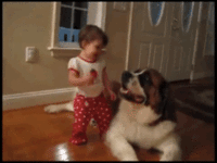 1B17E9A3-77DF-43D2-A0BD-1D5D2F878B38.gif